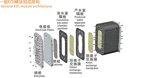 edi模块的内部结构